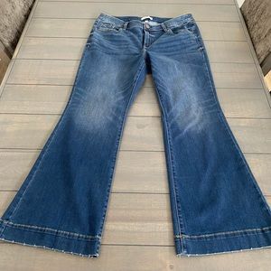Lane Bryant Flare Jeans